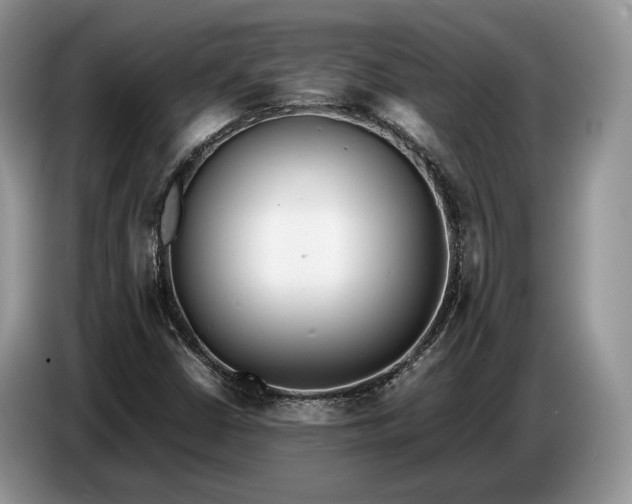 X0000086721402200704271601