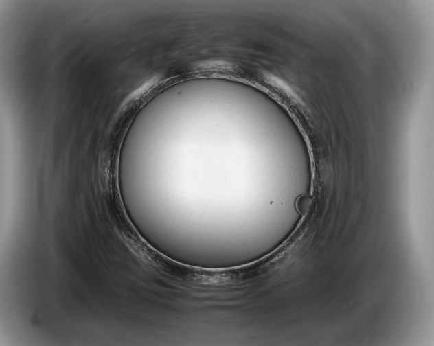 X0000086721403200704271601