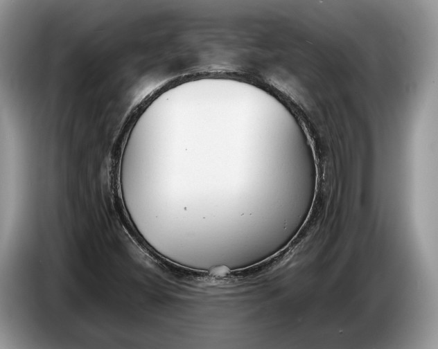 X0000086721404200704271601