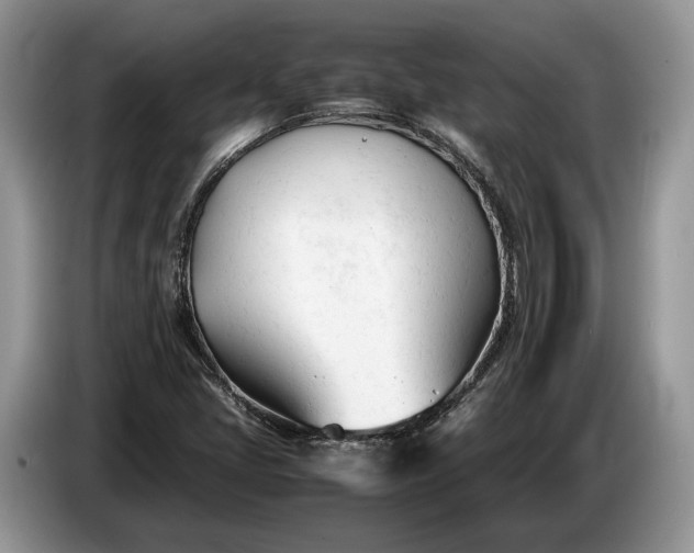 X0000086721405200704271601