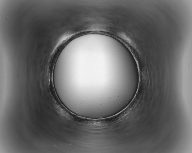 X0000086721408200704271601