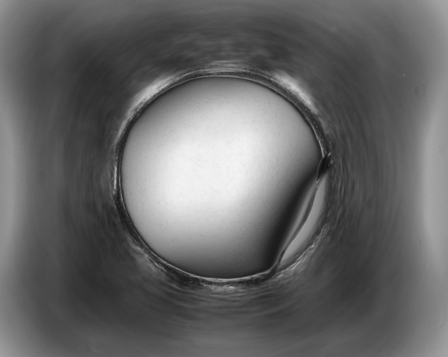 X0000086721413200704271601