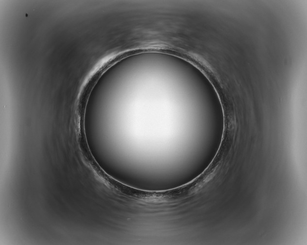 X0000086721414200704271601