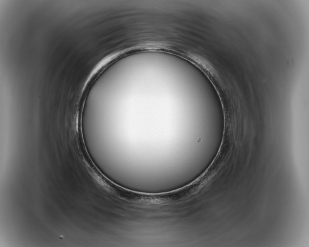 X0000086721420200704271601