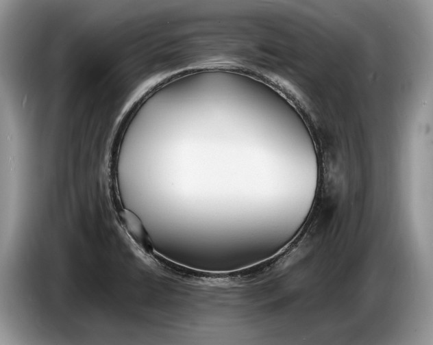 X0000086721422200704271601