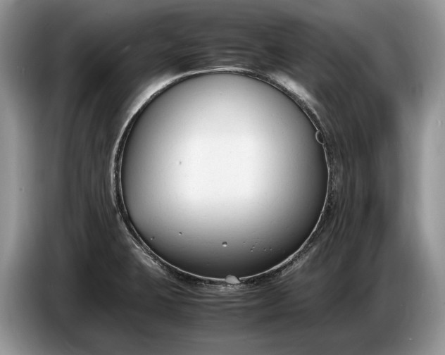 X0000086721423200704271601