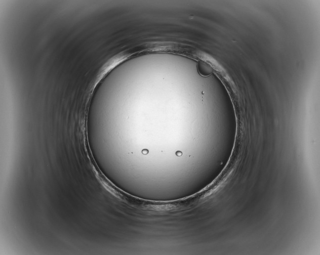 X0000086721425200704271602