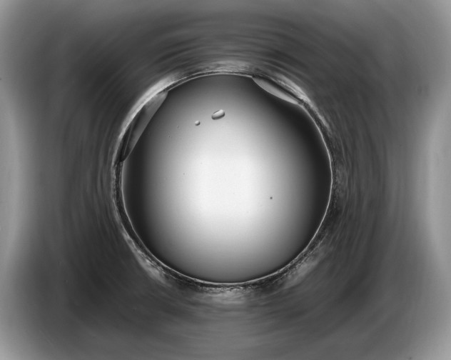 X0000086721426200704271602