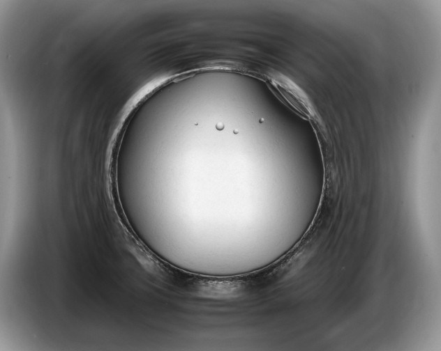 X0000086721427200704271602