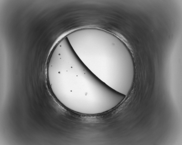 X0000086721428200704271602