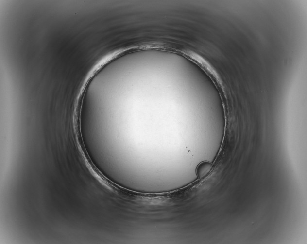 X0000086721429200704271602