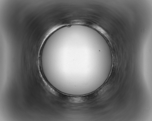X0000086721431200704271602