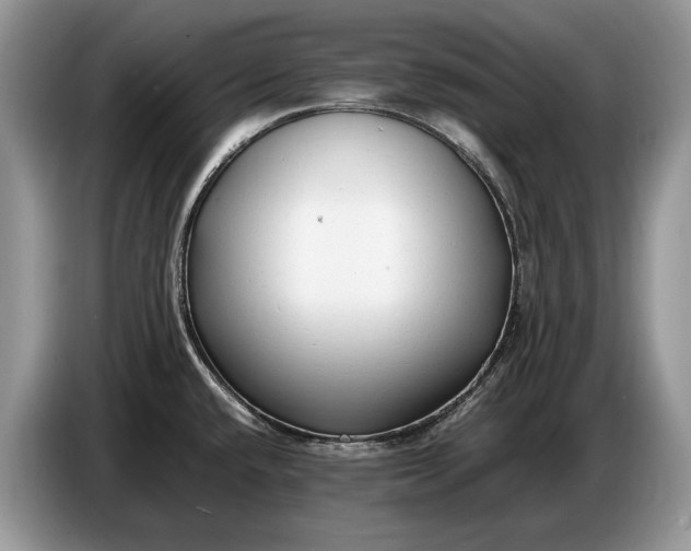X0000086721432200704271602