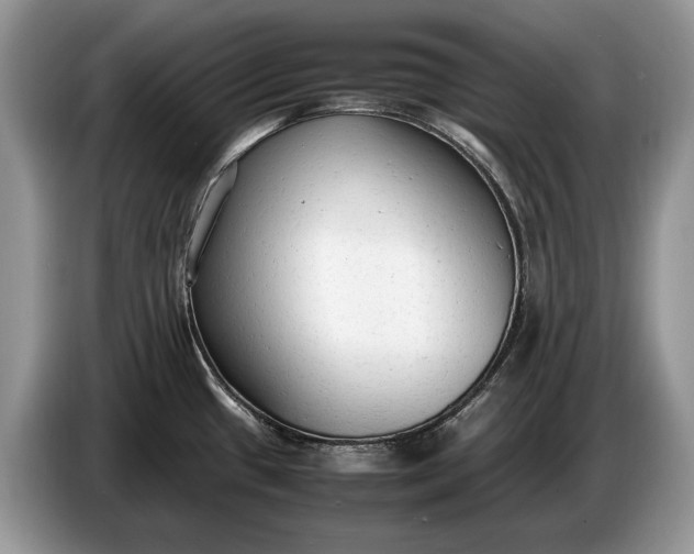 X0000086721433200704271602