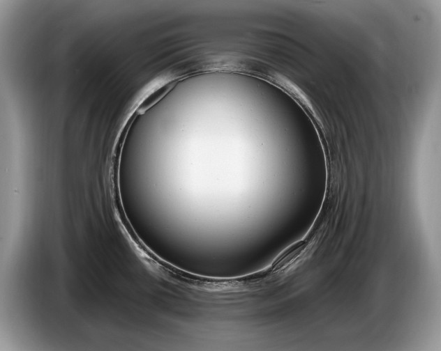 X0000086721434200704271602