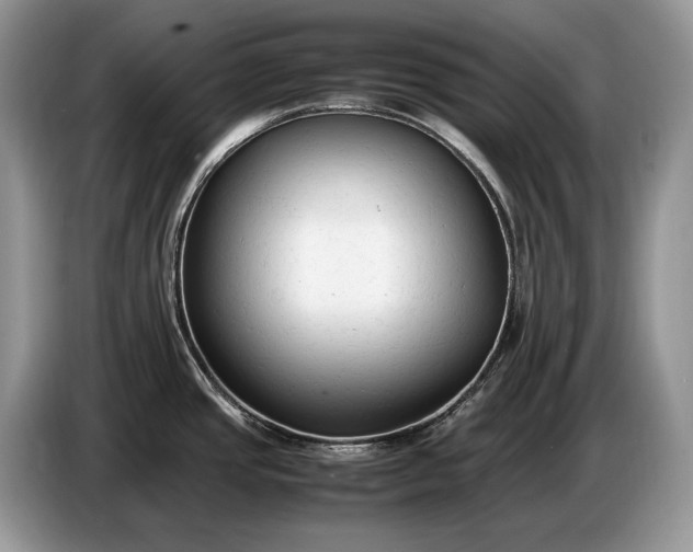 X0000086721437200704271602