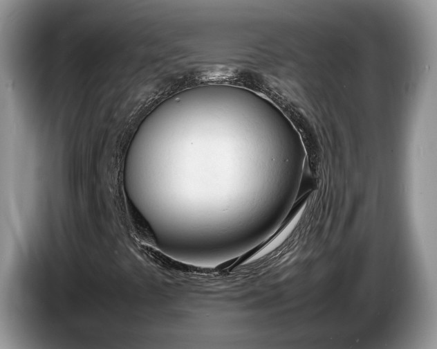 X0000086721441200704271601