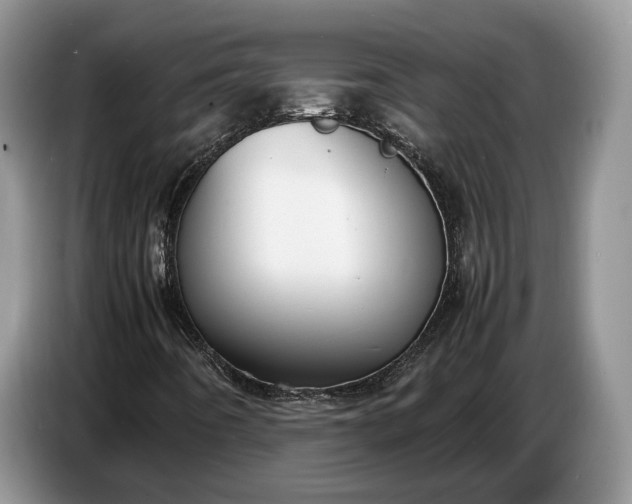 X0000086721442200704271601