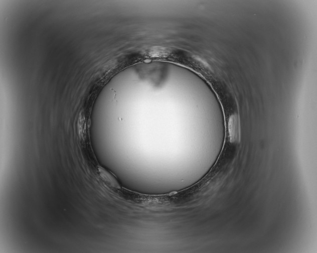 X0000086721443200704271601