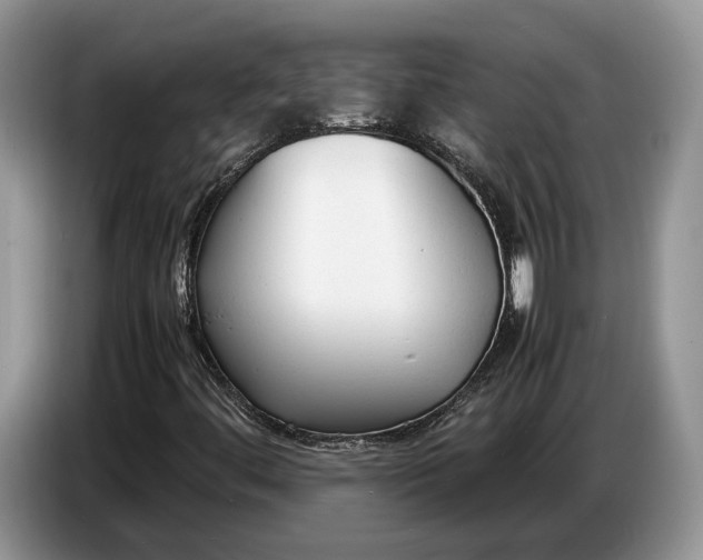 X0000086721444200704271601