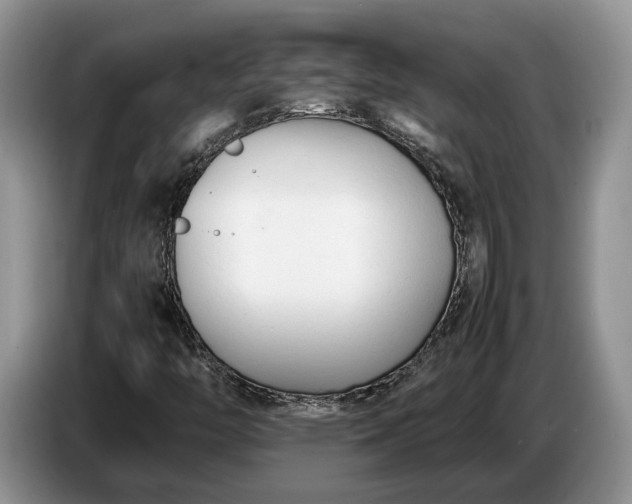 X0000086721446200704271601