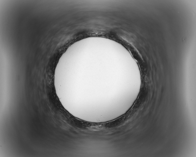 X0000086721447200704271601