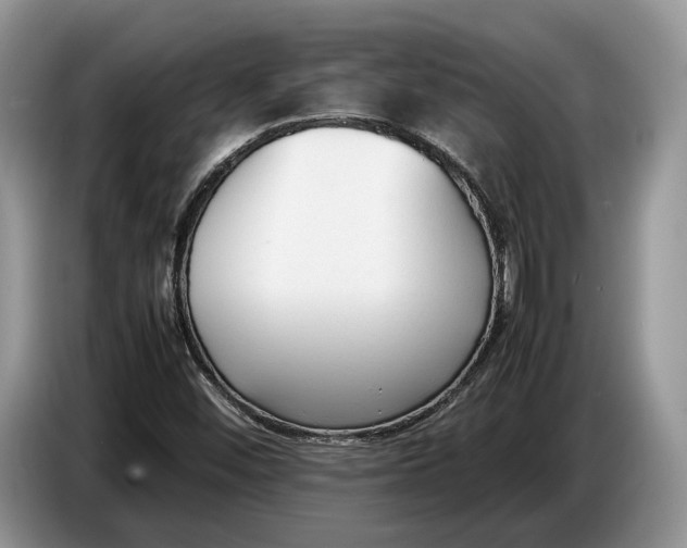 X0000086721452200704271601
