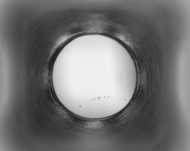 X0000086721454200704271601