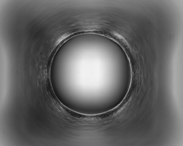X0000086721457200704271601