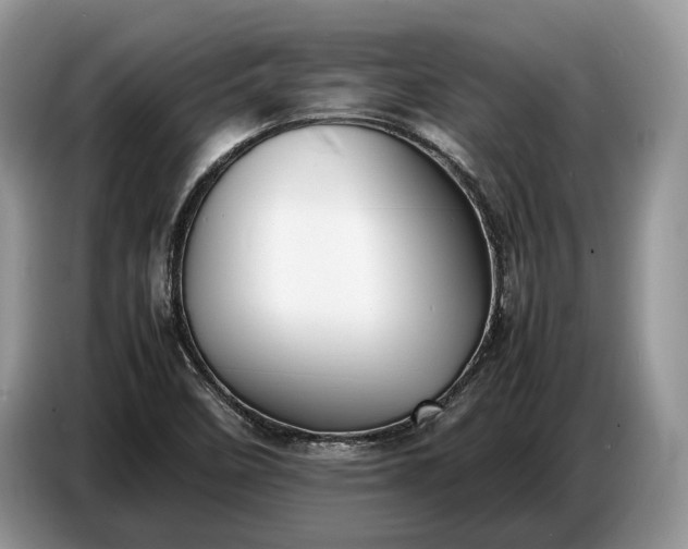 X0000086721458200704271601