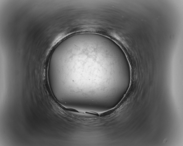 X0000086721459200704271601