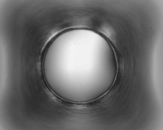 X0000086721460200704271601