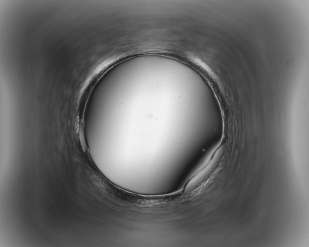 X0000086721461200704271601
