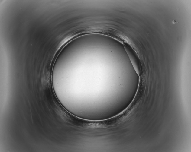 X0000086721465200704271601