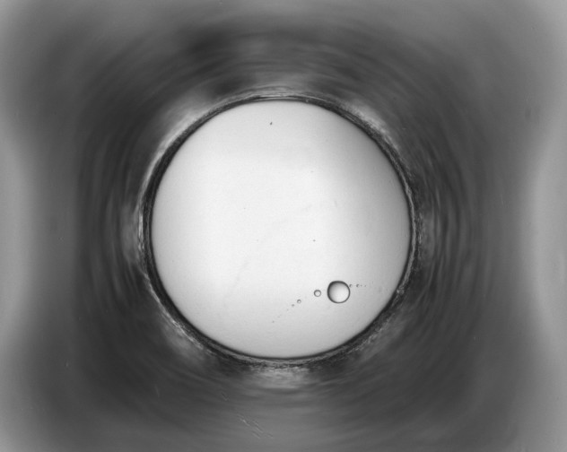 X0000086721466200704271601