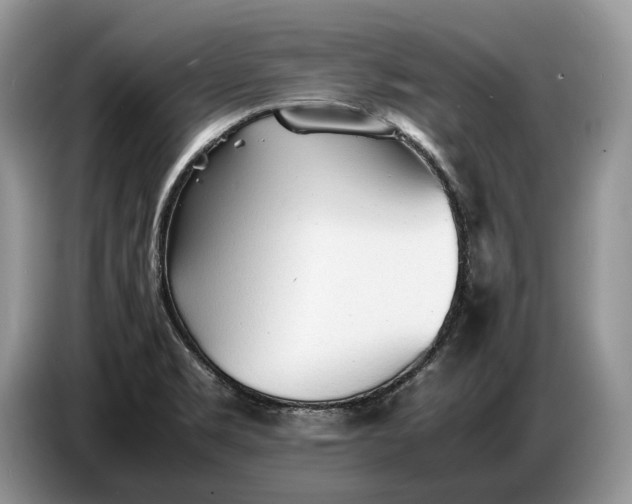 X0000086721469200704271601