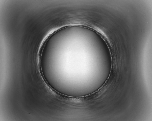 X0000086721472200704271601
