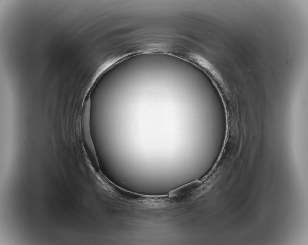 X0000086721473200704271601