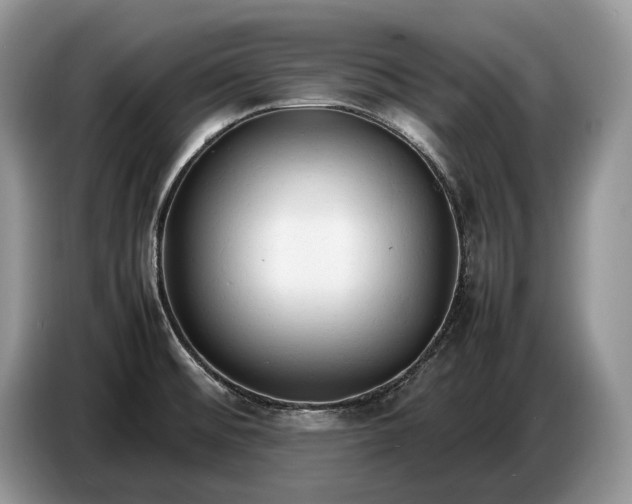 X0000086721476200704271601