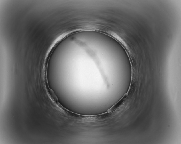X0000086721477200704271601