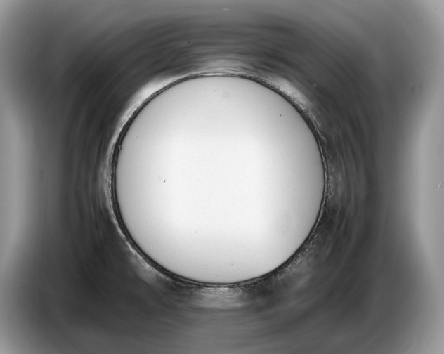 X0000086721478200704271601