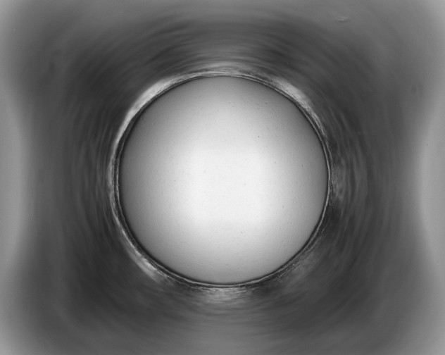 X0000086721482200704271601