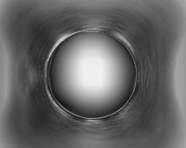 X0000086721483200704271601