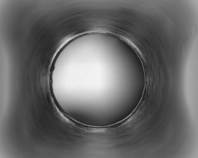 X0000086721484200704271601