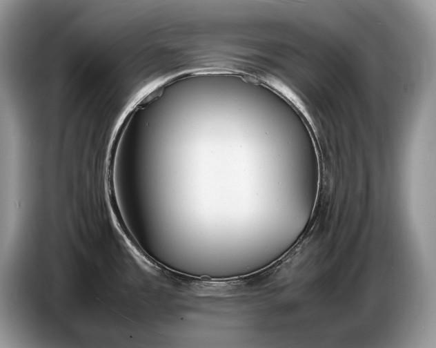 X0000086721485200704271601