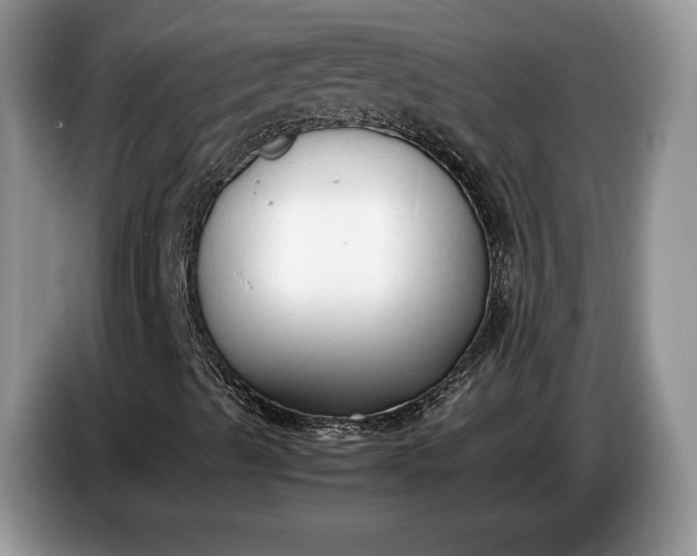X0000086721489200704271600