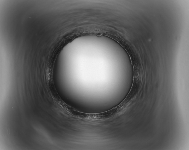 X0000086721490200704271600