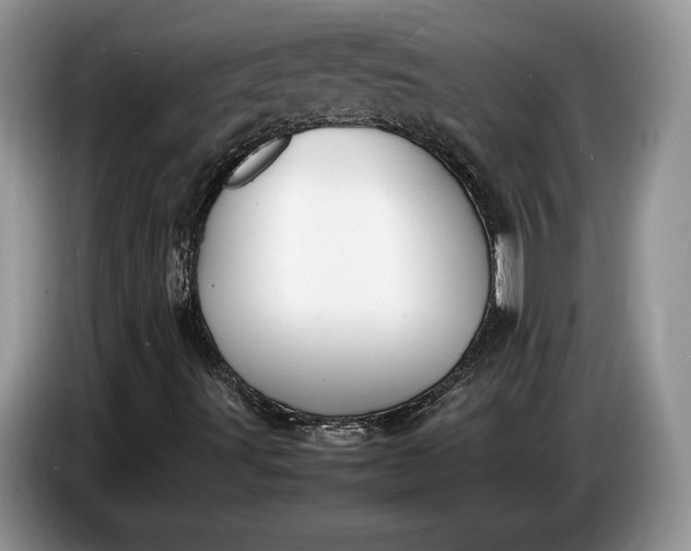 X0000086721491200704271600