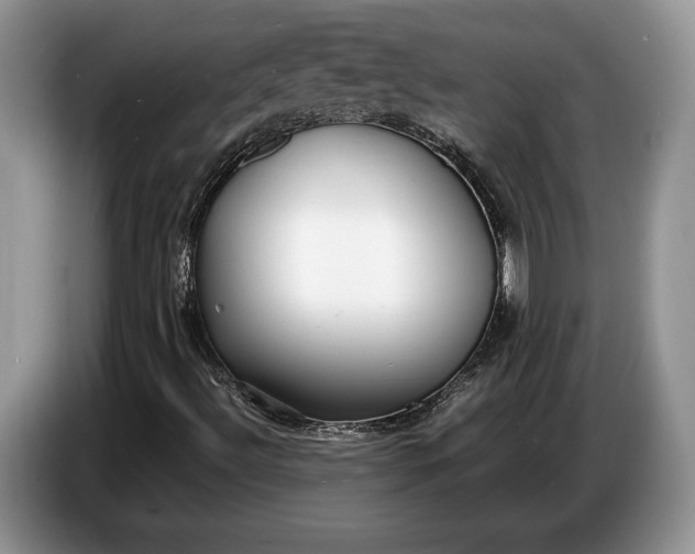 X0000086721492200704271600