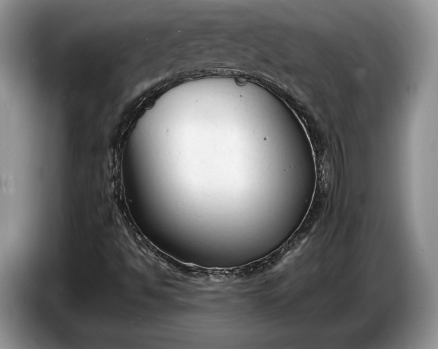 X0000086721494200704271600